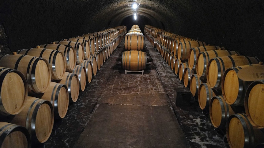 Empty wine barrels in a cellar.