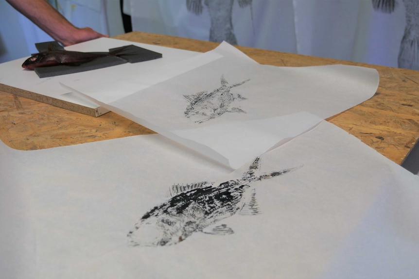Two pieces of paper showing ink prints of dead fish.