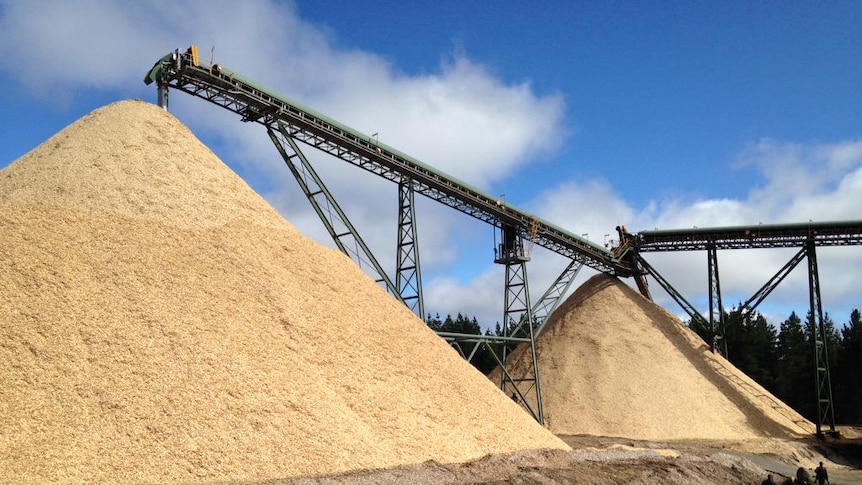 The re-opened Hampshire woodchip mill near Burnie