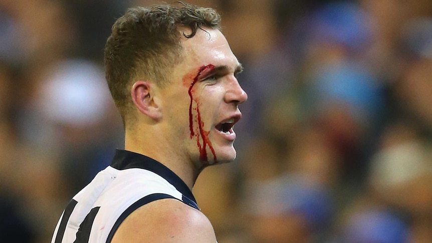 Geelong's Joel Selwood comes off the ground with a cut to his eye against the Kangaroos at the MCG.