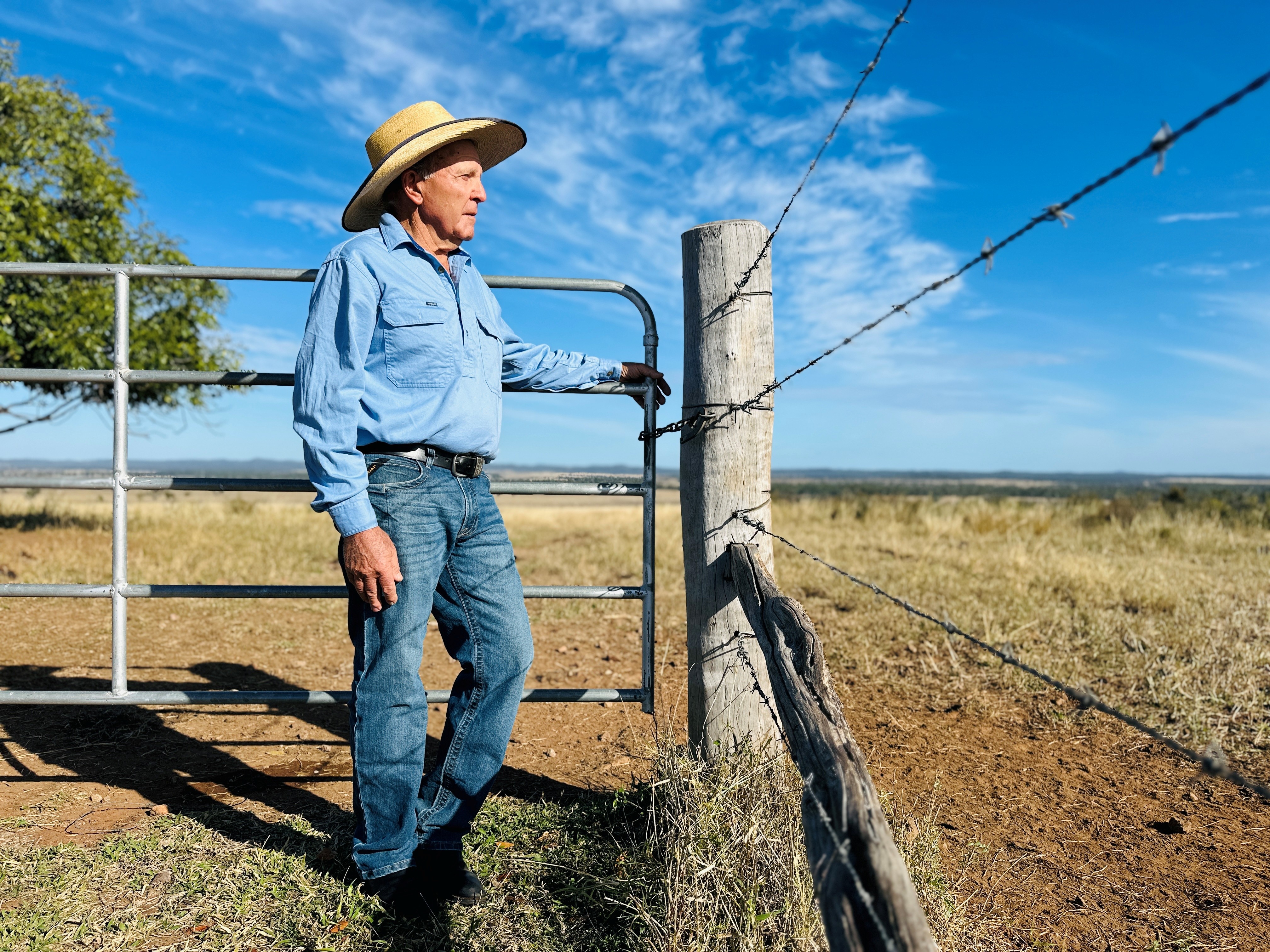 A man standing at a fence looking into the distance on a rural property.