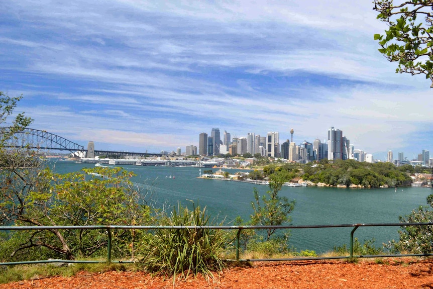 The view of Sydney's CBD, Barangaroo and Sydney Harbour Bridge from Balls Head Reserve in North Sydney.