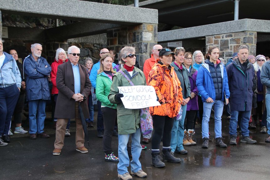 About 150 people protesting a proposal for a Skyway in Cataract Gorge, Launceston on 30th June, 2019