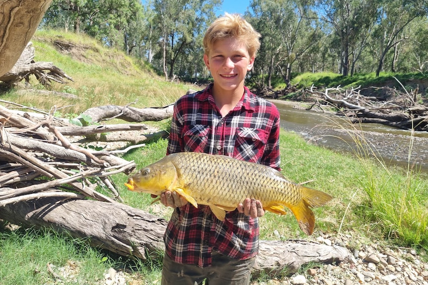 A blond haired boy in a plaid shirt holding up a big yellow carp with a river behind him.