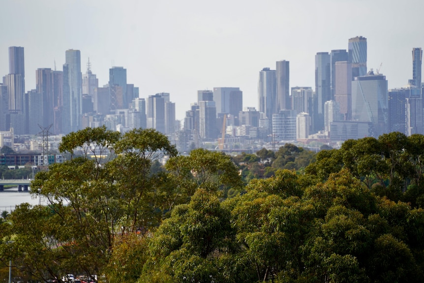 Melbourne high rise buildings sitting behind green tree tops at the bottom half of the image