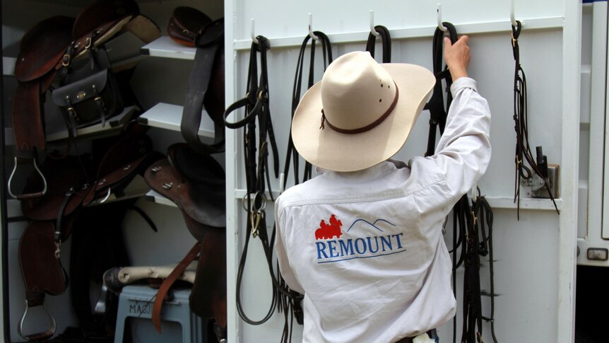 A horse owner packs up her horse's saddle