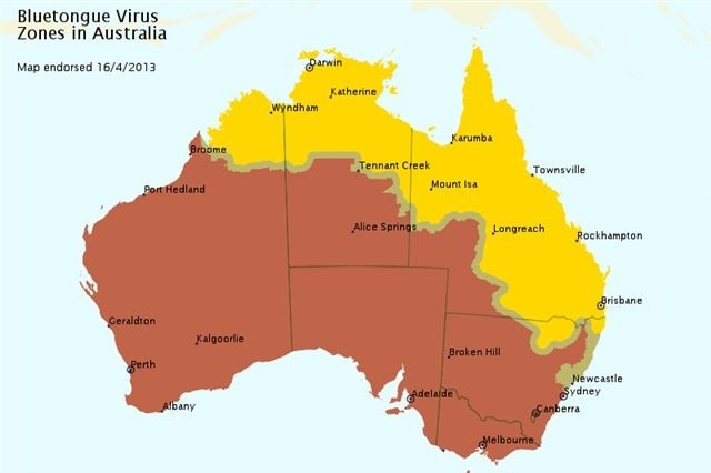 A map of Australia with two-thirds of the country coloured brown and the rest coloured yellow, showing the spread of a virus.