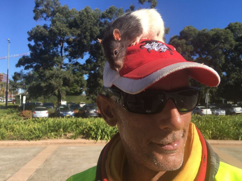 Election 2016: Turnbull meets a rat, Shorten pledges reef funding. Here ...
