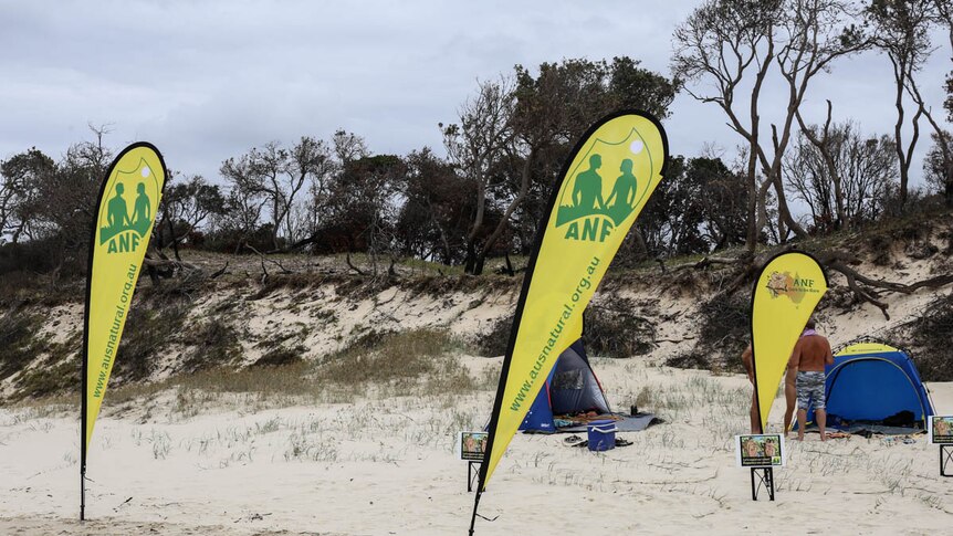 Yellow flags on beach