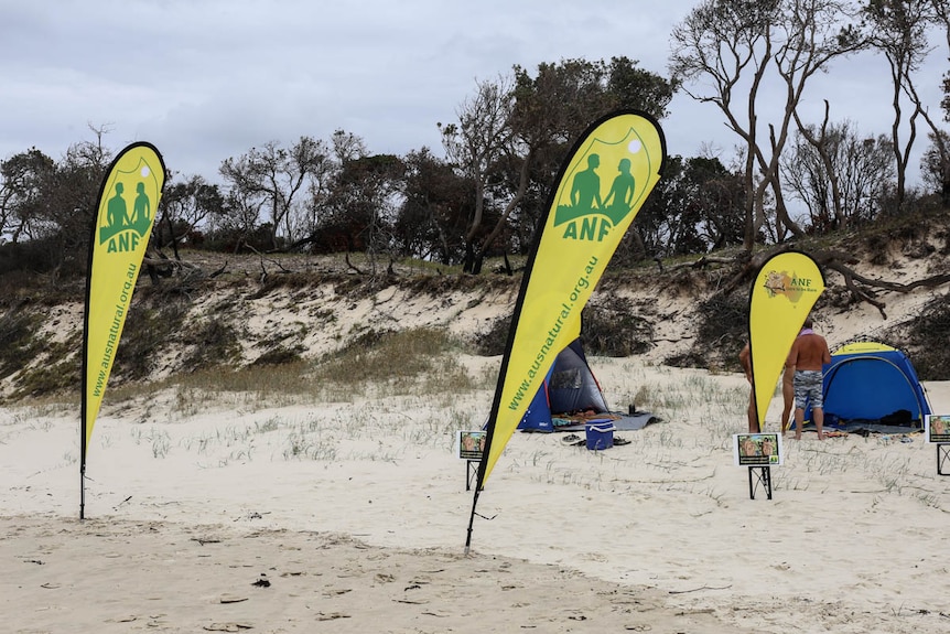 Yellow flags on beach