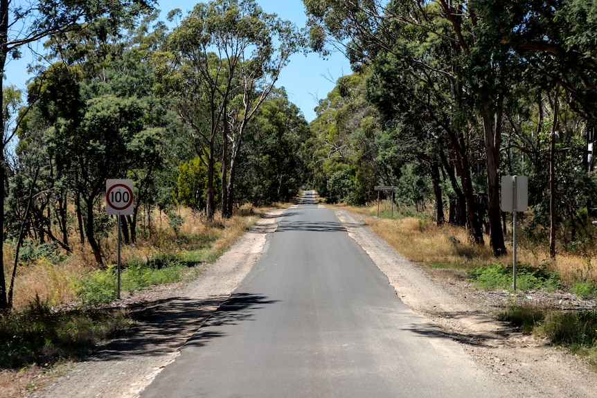 Cracked and damaged road with asphalt that falls away to become a gravel shoulder, with a 100 kilometre an hour sign amid trees