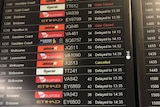 screen showing list of delayed and cancelled flights at sydney airport