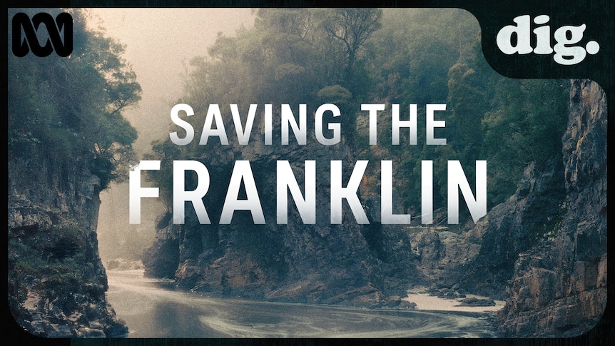 DIG Saving the Franklin teaser image