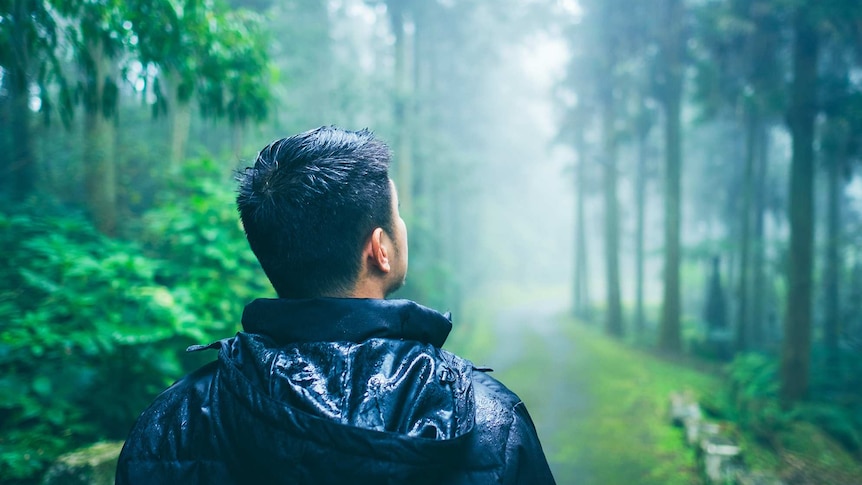 Man standing in forest