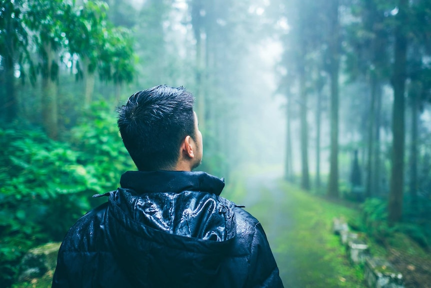 Man standing in forest