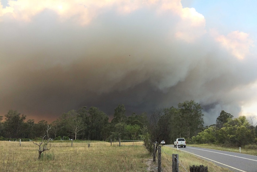 A pasture in the country, next to a road. The sky is darkened by a huge cloud of smoke.