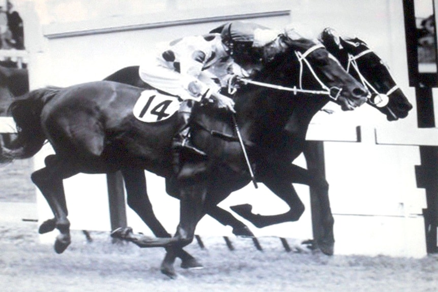 1965 Melbourne Cup winner Light Fingers