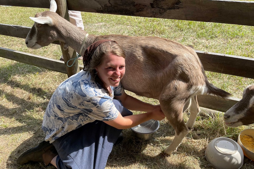 A young woman demonstrating how to milk a goat