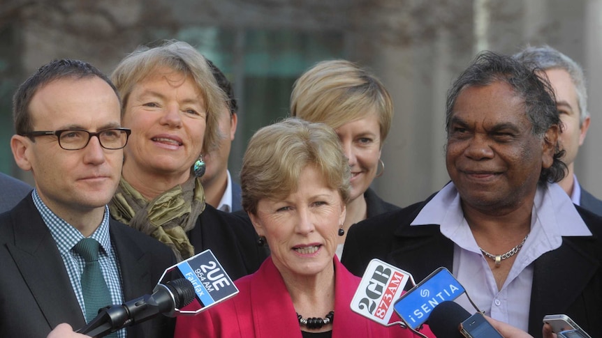 The Australian Greens leader Christine Milne announces the full team contesting the next election.