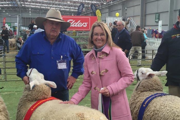 Pip Courtney standing between two sheep with ribbons in hand and alongside farmer in large shed.