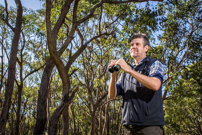 A man stands in bushland, holding binoculars.