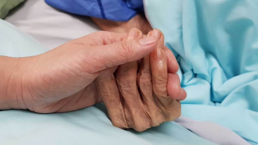 close up of adult hand lightly holding older person's hand