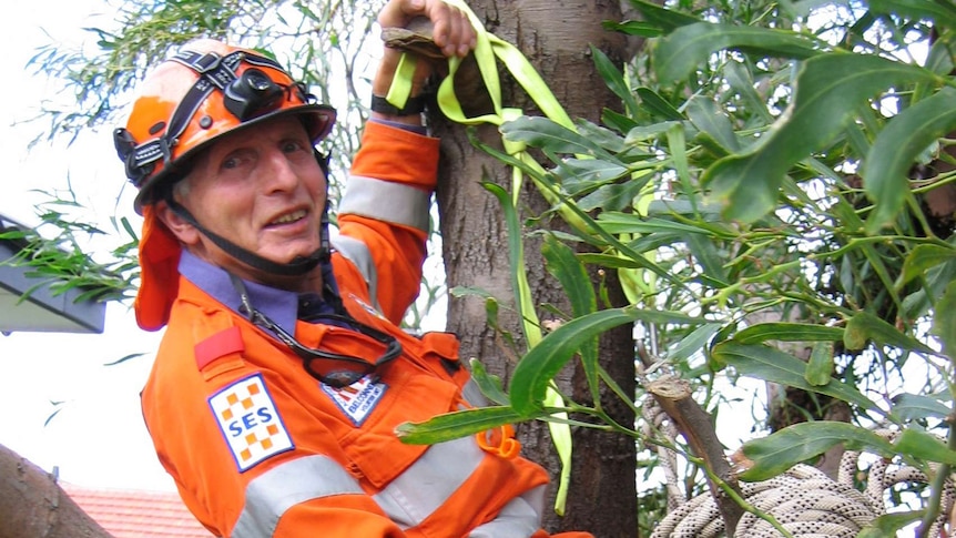 SES volunteer Walter Blumenfeld climbs a tree