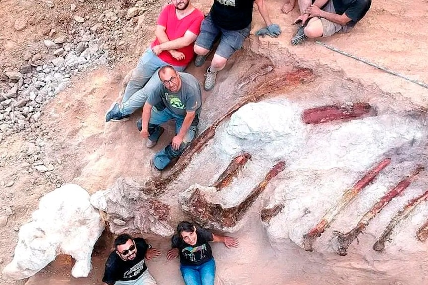 People pose with a massive fossilised ribcage that has been partially unearthed