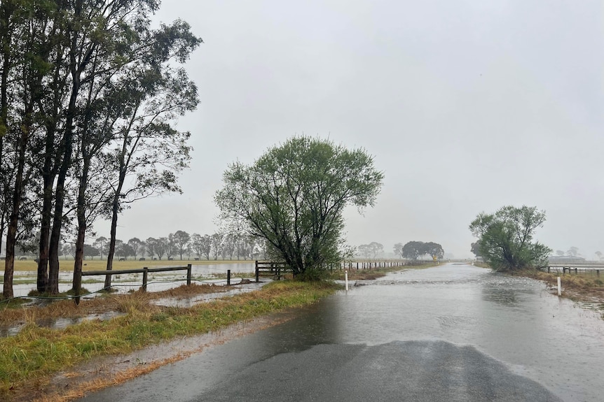 A flooded country road fringed by paddocks.