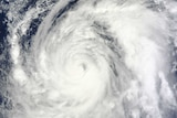 Satellite image of Typhoon Wipha