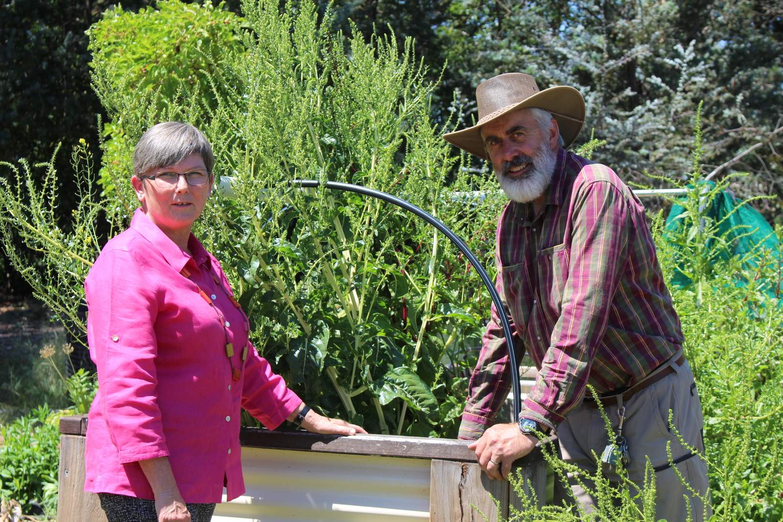 Marymead's MULCH program provides growing opportunities for young