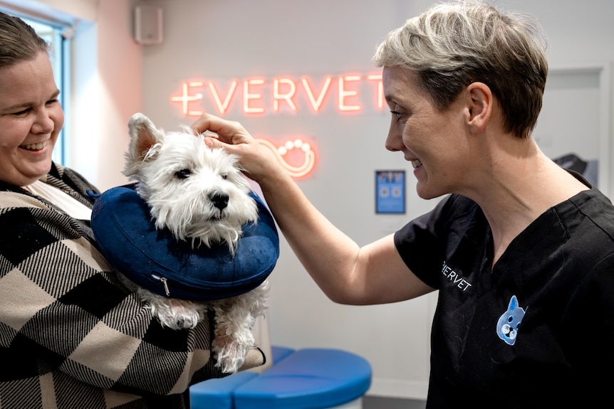 A woman with short hair and a bathrobe stands in a veterinary office and caresses a dog with a pillow around its neck.