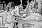 Female factory workers sorting through timber ice cream sticks