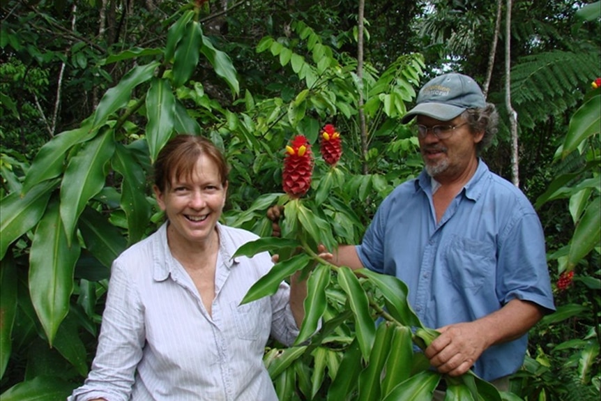 A man and woman stand either side of a plant with red flowers.
