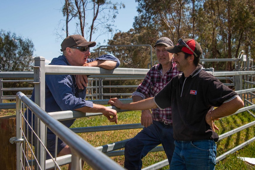 A man leans on a fence chatting to local dairy farmers.