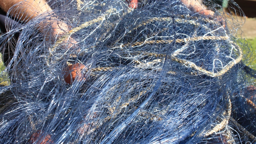 Hands holding a blue fishing net