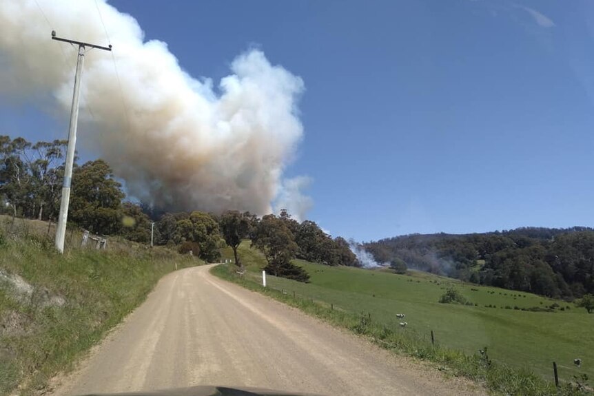 Smoke from bushfire.