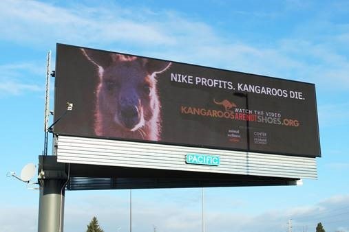 A billboard showing the head of a kangaroo, and text; "Nike profits, kangaroos die. Kangaroosarenotshoes.org"