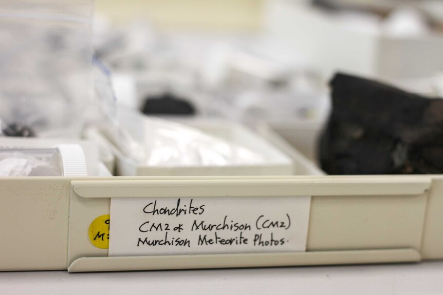 A tray with a label that states 'chondrites'.