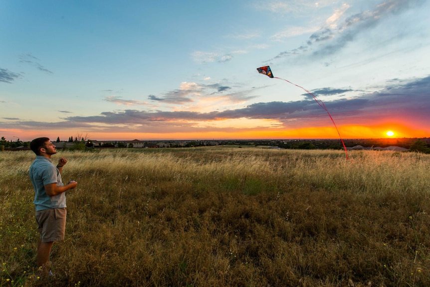 Man flies a kite in a field at sunset