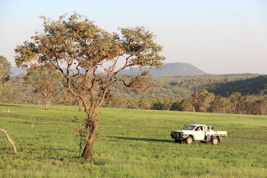 Driving across Carnarvon valley