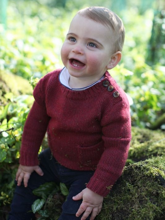 Prince Louis sits on a mossy rock with his hands on his knees