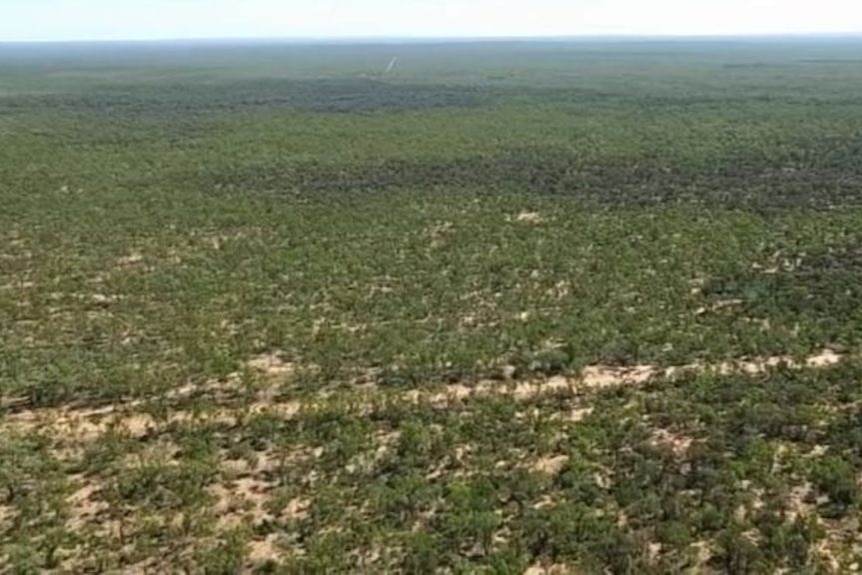 Drone vision of proposed location for Adani's Carmichael mine