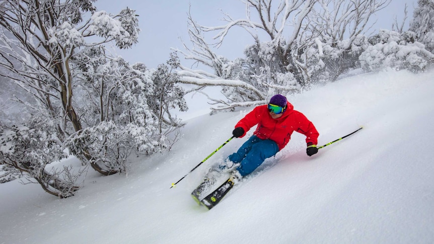 A skier at Mount Hotham enjoying a dump of 16cm of snow.