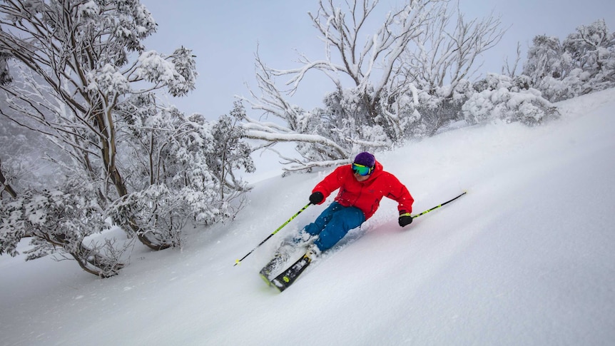 A skier at Mount Hotham enjoying a dump of 16cm of snow.