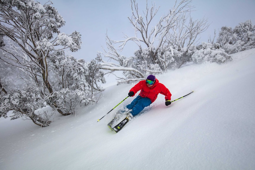 A skier at Mount Hotham enjoying a dump of 16cm of snow.