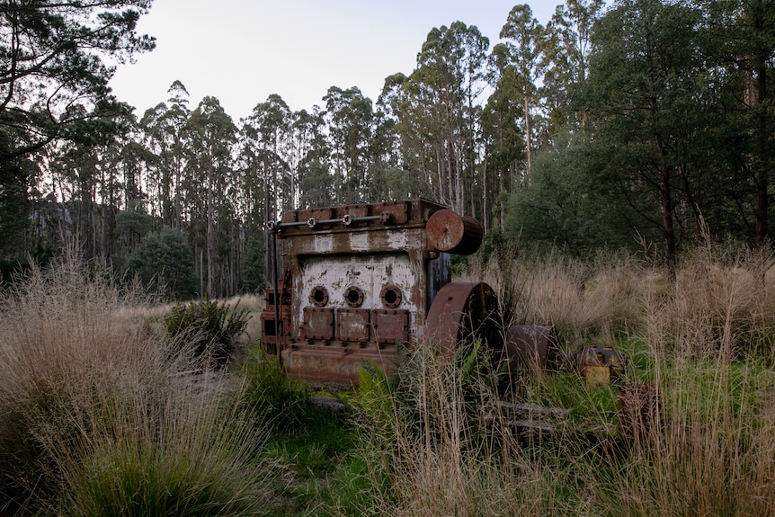 Abandoned old machinery in mountain ash forest near Cambarville in Victoria's Central Highlands.