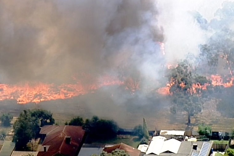 A fire burning dangerously close to houses at Carrum Downs.