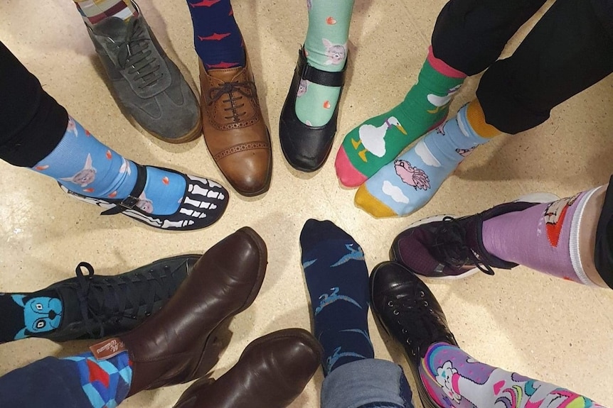 Several people's feet in a circle, wearing crazy multi-coloured socks.