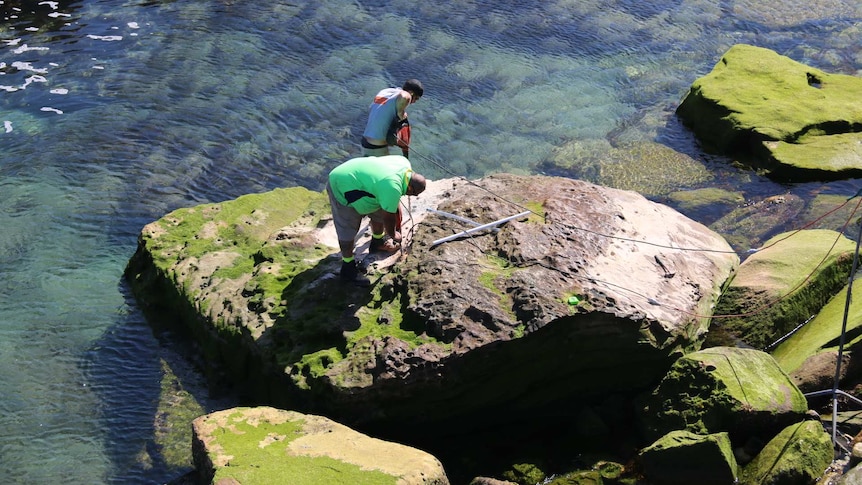 Workers start the process of moving a large rock at Coogee